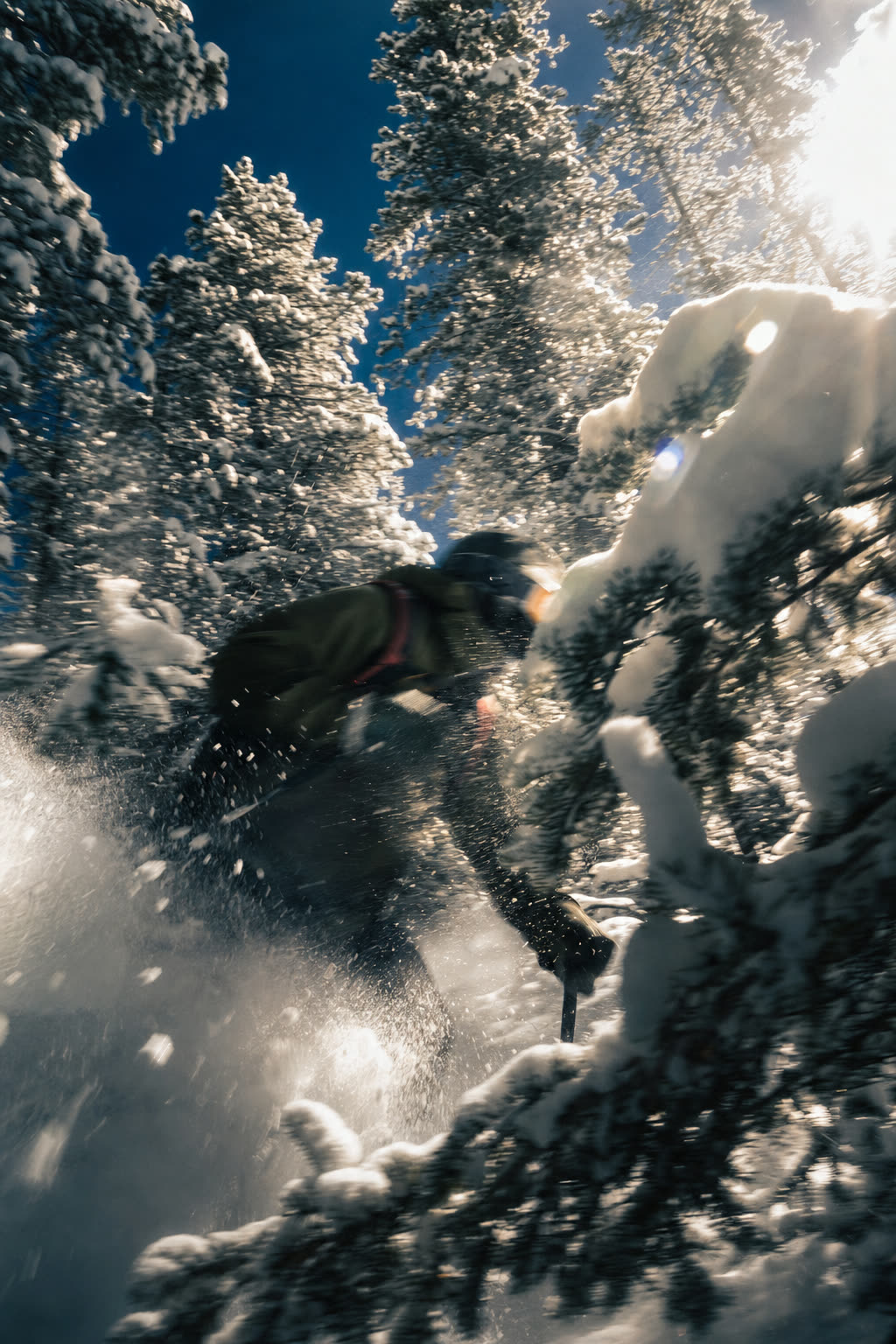 Rider disappearing through snow-loaded trees